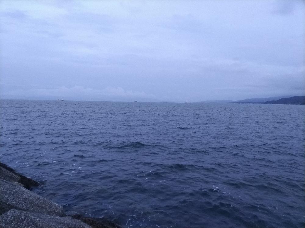 ショアから真鯛!