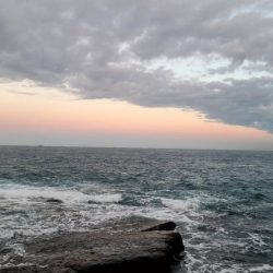 和歌山市江(吉丸渡船)でグレ釣り