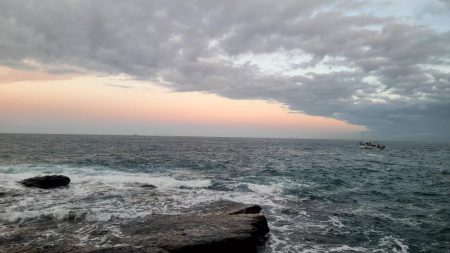 和歌山市江(吉丸渡船)でグレ釣り