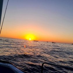 和歌山市江（吉丸渡船）でイカメタル