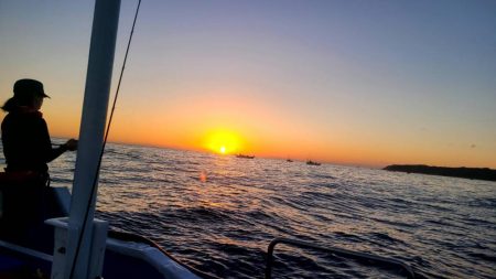 和歌山市江（吉丸渡船）でイカメタル