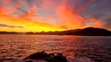 和歌山大引の磯でフカセ釣り