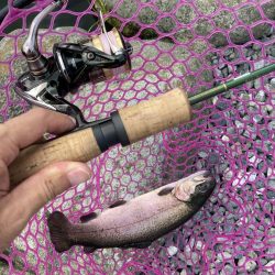 釣食浪漫 ~再びサクラマスゲットなるか!~