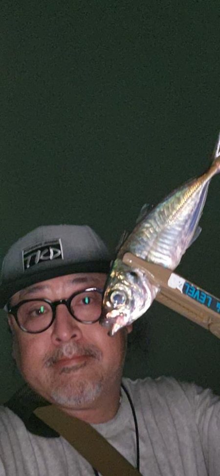 コンスタントにアジ！