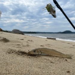 豪雨後の状況を確認したくて投げに行ってきました