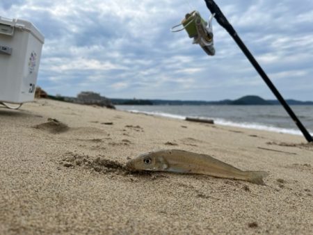 豪雨後の状況を確認したくて投げに行ってきました