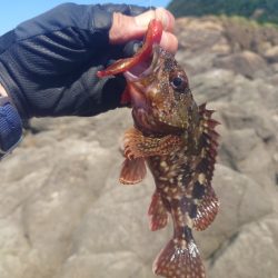 長くて飛ぶヤツ