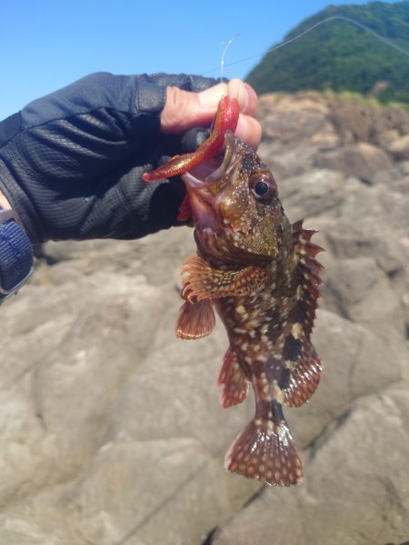 長くて飛ぶヤツ