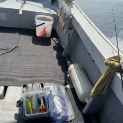 天草タコ釣りに行ってきました