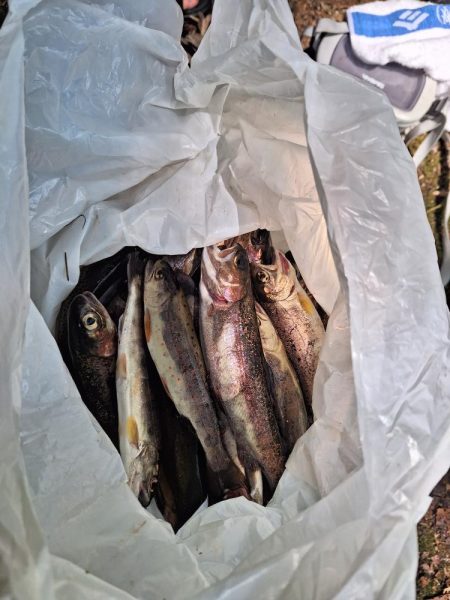 渓流管理釣り場