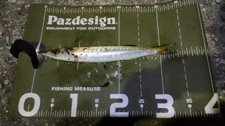 南紀釣りツーリングキャンプ