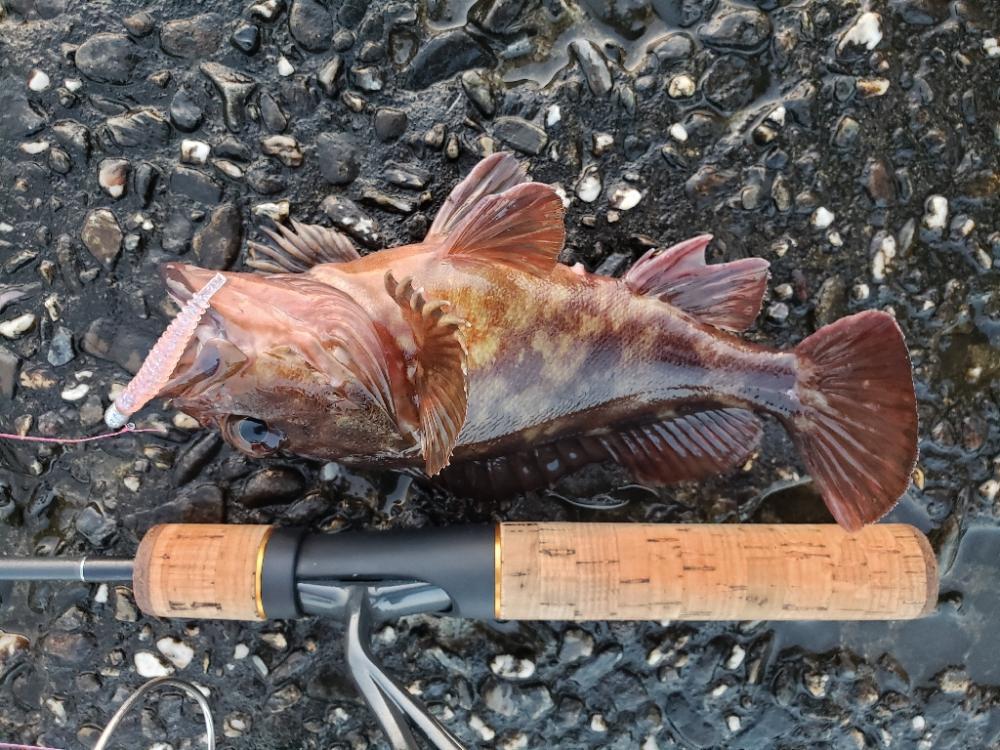 釣り散歩