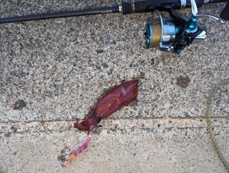 爆らない爆れないが好き