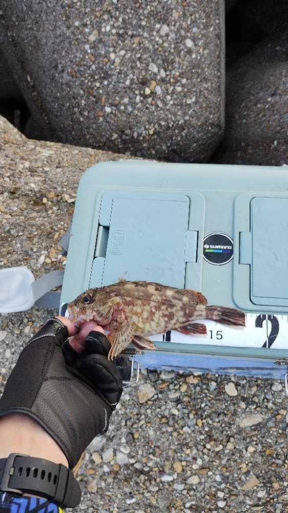 ハマりました♪