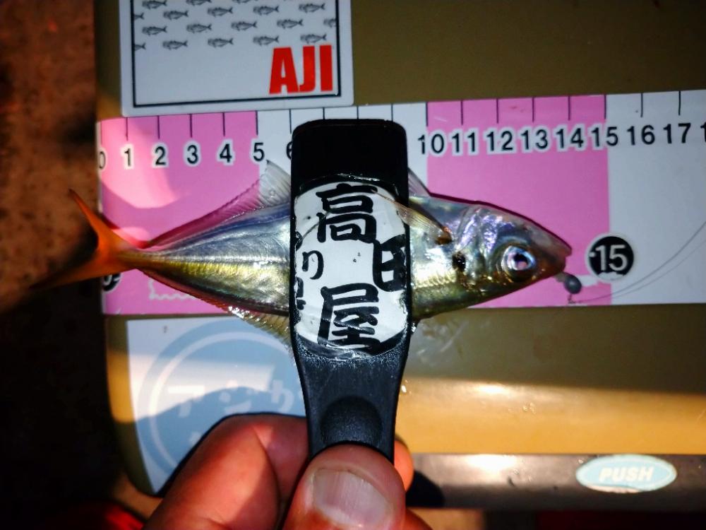 豆アジリベンジ