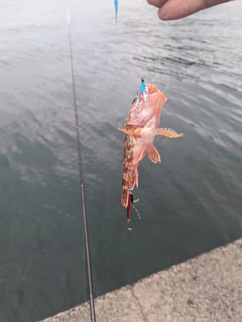 水潮のせいにしておこう