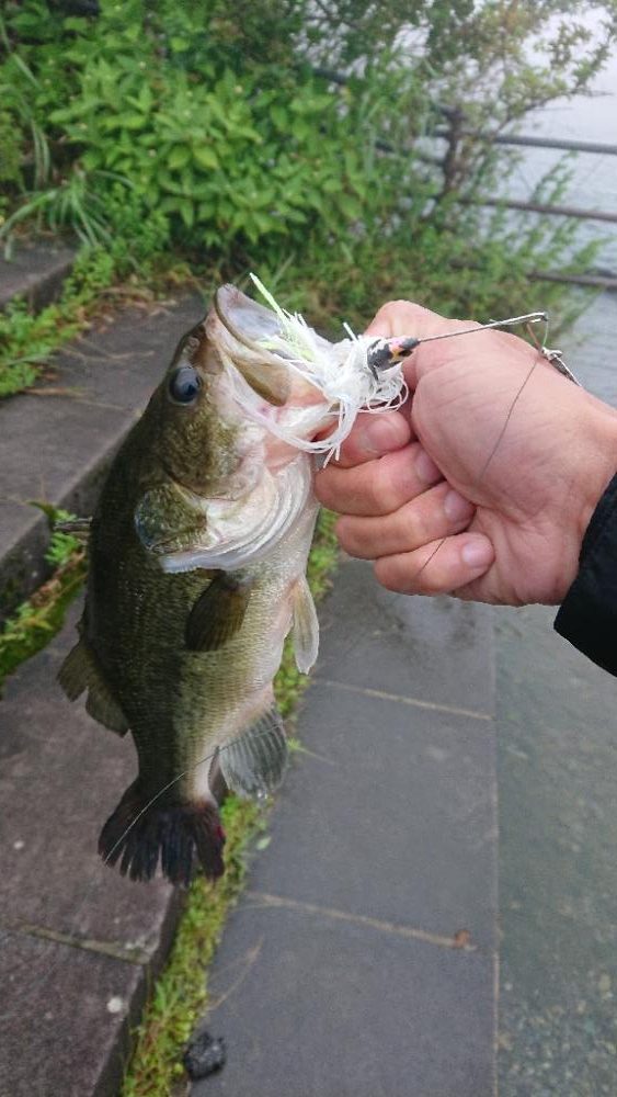 放流翌日の爆風