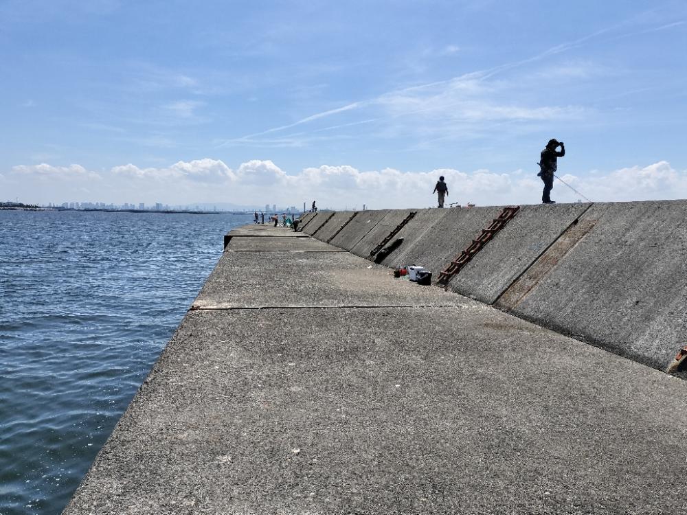 大きいサバ！！