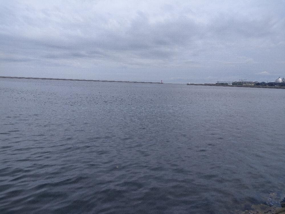 またまた岸和田一文字☆