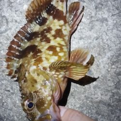 アタリはあれども