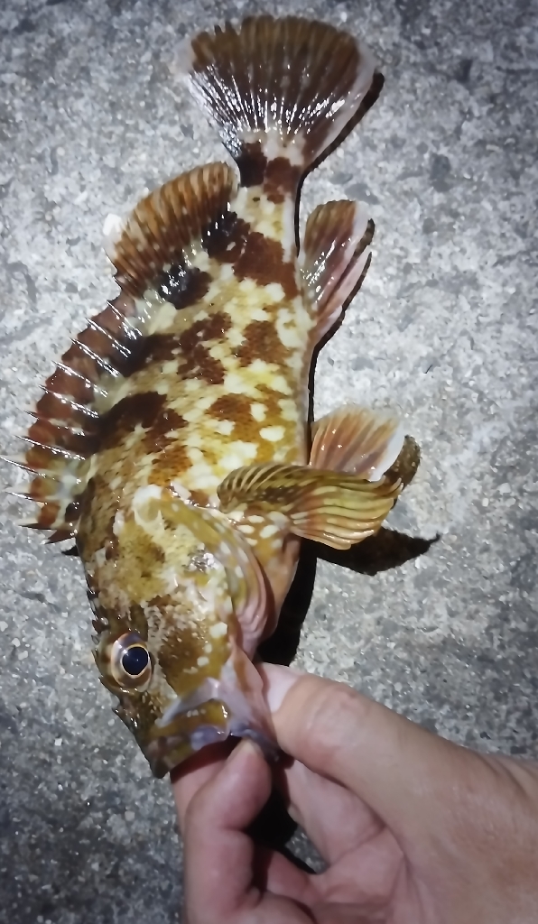 アタリはあれども