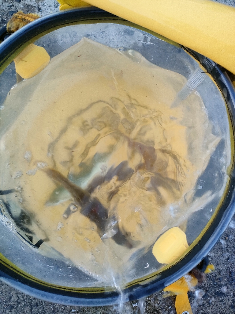 パターン変わったのか？