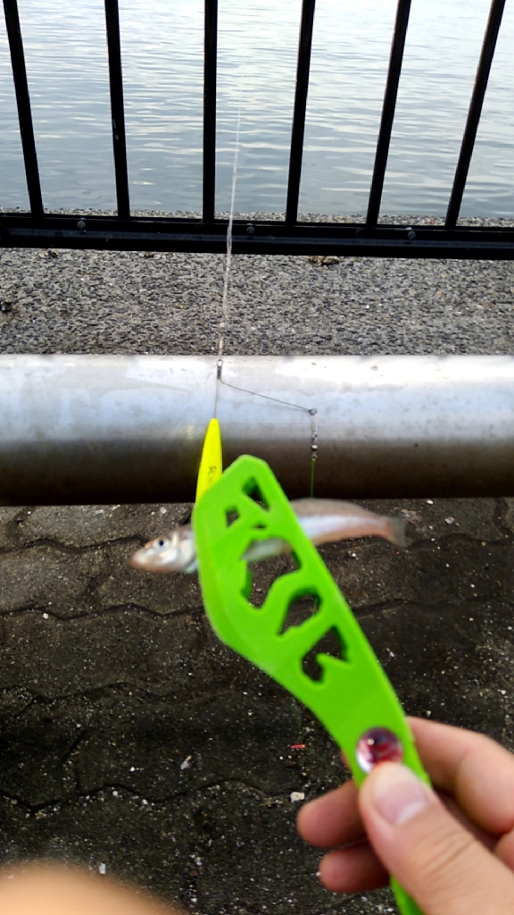 なかなか渋い キス