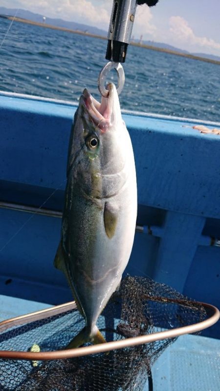 新タックルに鱗付け