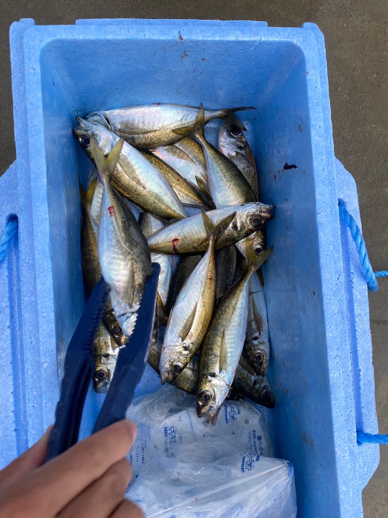 王道のパターン