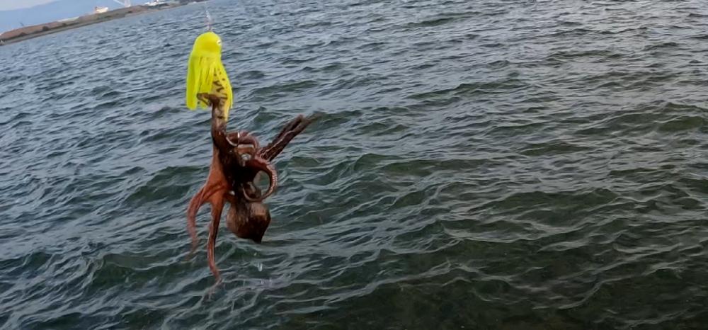 オクトパッシング