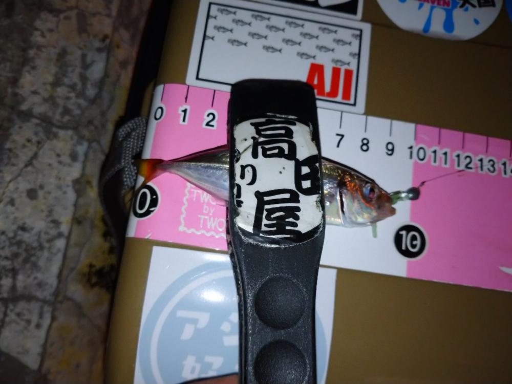 今夜も豆アジ修行