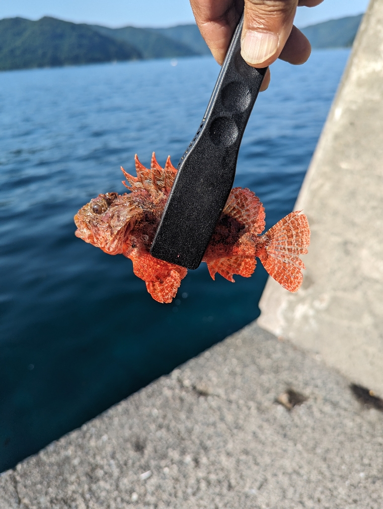 陸っぱり釣行記