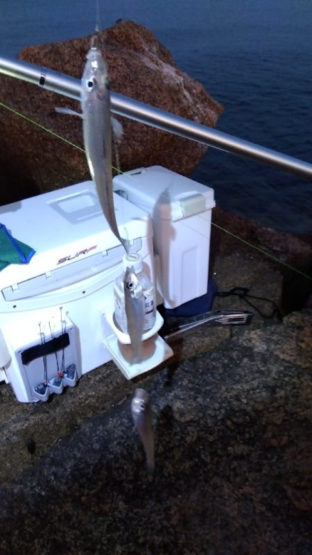 大塩海岸のキス釣り