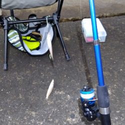 苅屋海岸のキス釣り