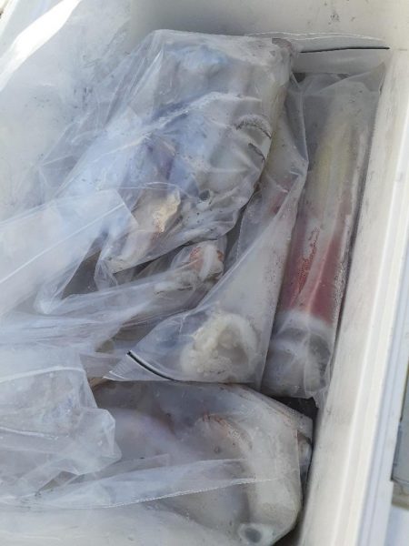 疲れたぁ～っ❗