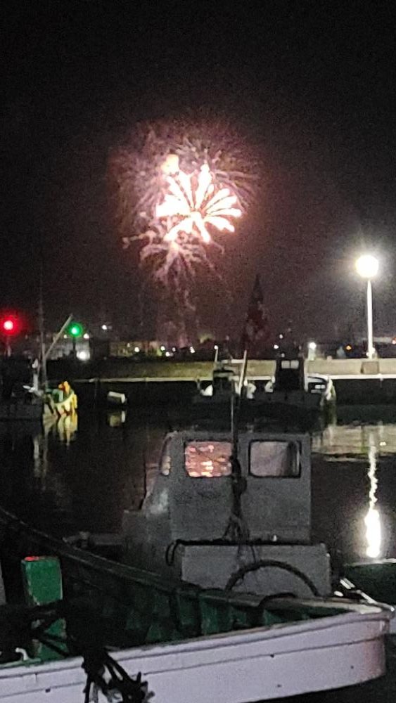 辛うじてロックフィッシュで