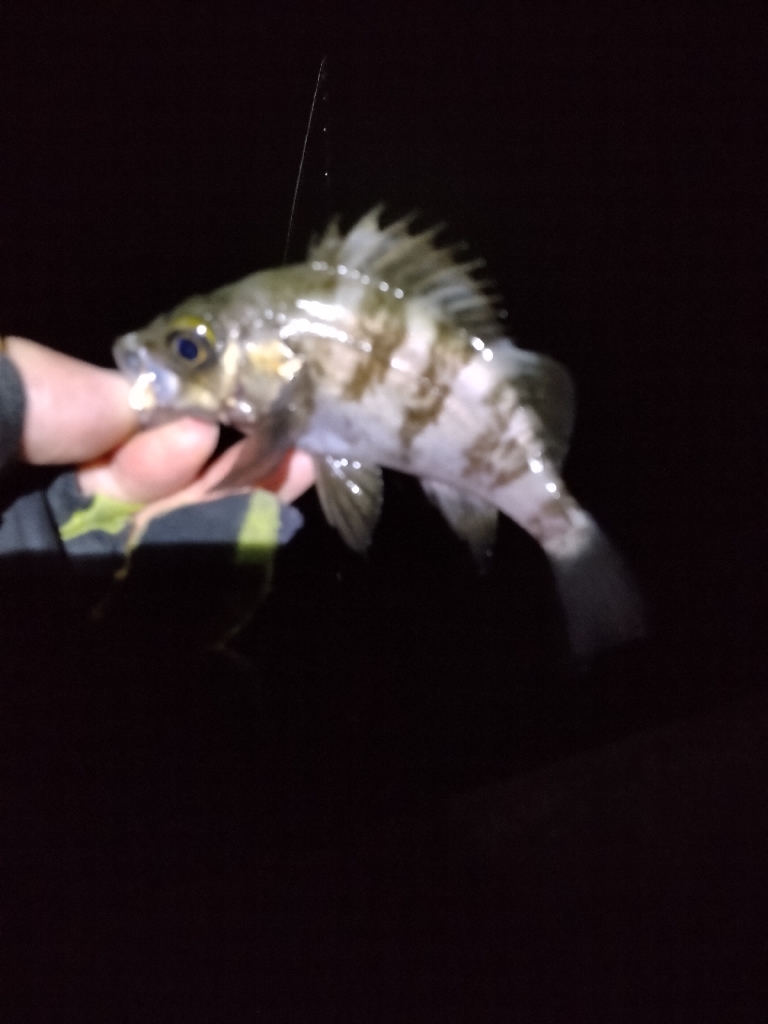 いい感じなのに