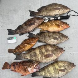 レンタルボートで根魚