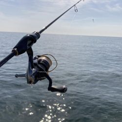 初日キス釣りからのマイクロサバゲー