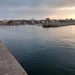 夏休みのイカ釣り