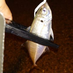 口閉じませんでした。