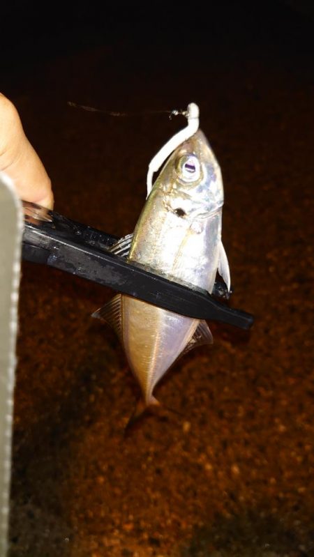 口閉じませんでした。