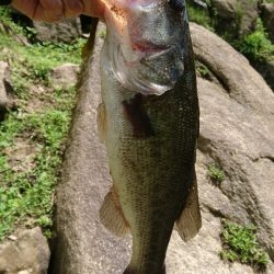 真っ昼間のサイトフィッシング