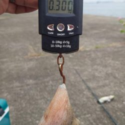 時合の一瞬だけ