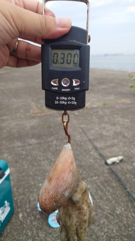 時合の一瞬だけ