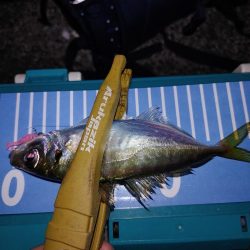 アジングとエギング