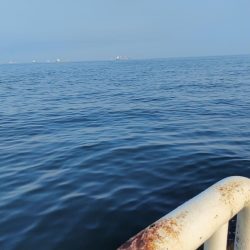 今シーズン初釣果