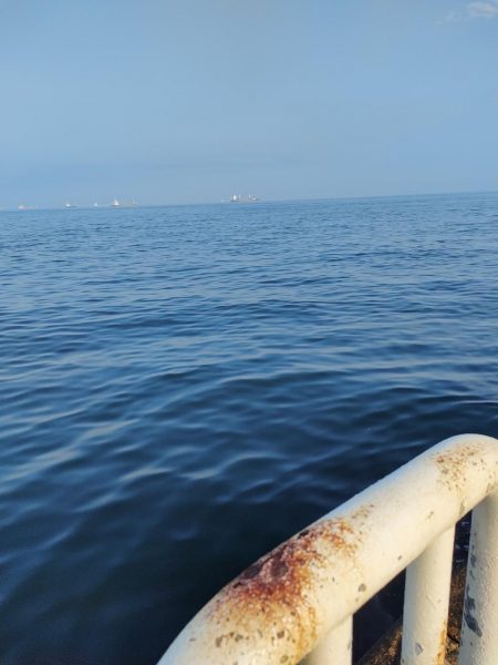 今シーズン初釣果