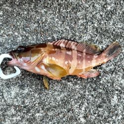 三重和歌山遠征 前半