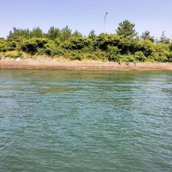 ロックフィッシュ狙いに